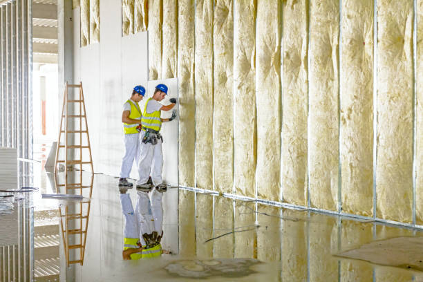 Professional Insulation Contractor in Crofton, MD
